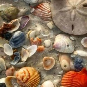 Meet your Posher, Vicki